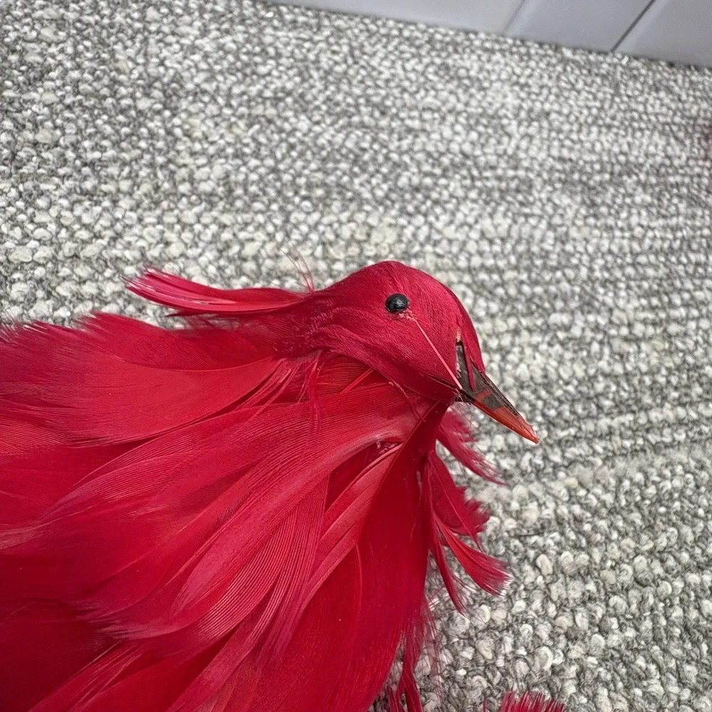 The Unbranded Brand set feathered